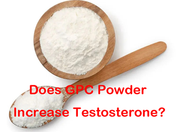 Does GPC Powder Increase Testosterone?